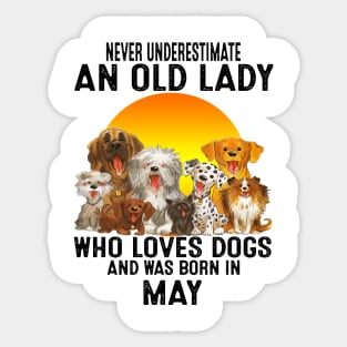 Never Underestimate An Old May Lady Who Loves Dogs Sticker